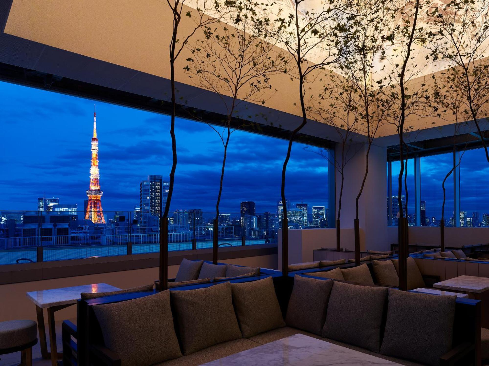 Mitsui Garden Hotel Roppongi Tokyo Premier Экстерьер фото View from the Sky Bar