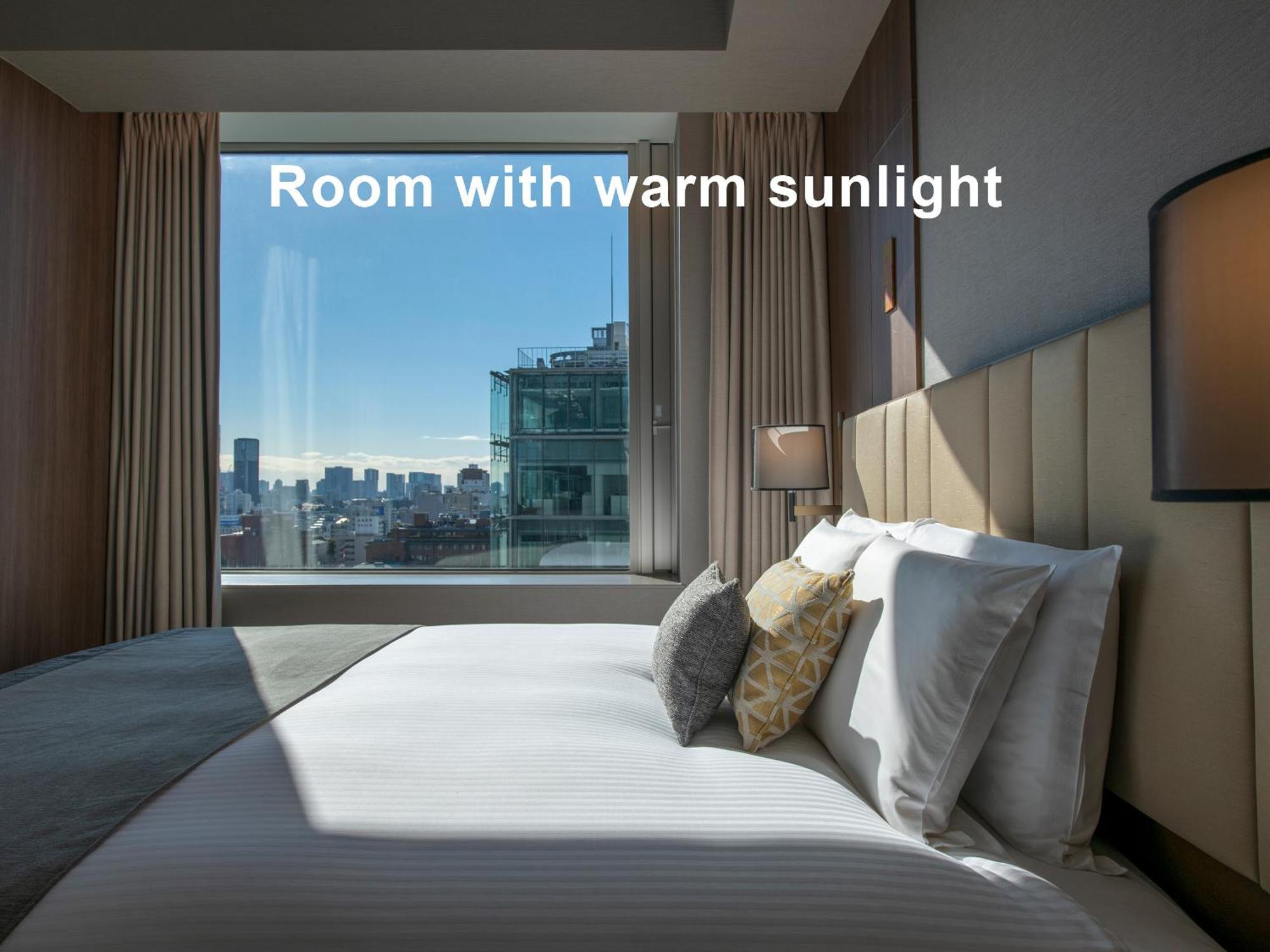 Mitsui Garden Hotel Roppongi Tokyo Premier Экстерьер фото Room with warm sunlight